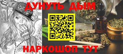 Альфа ПВП Можга