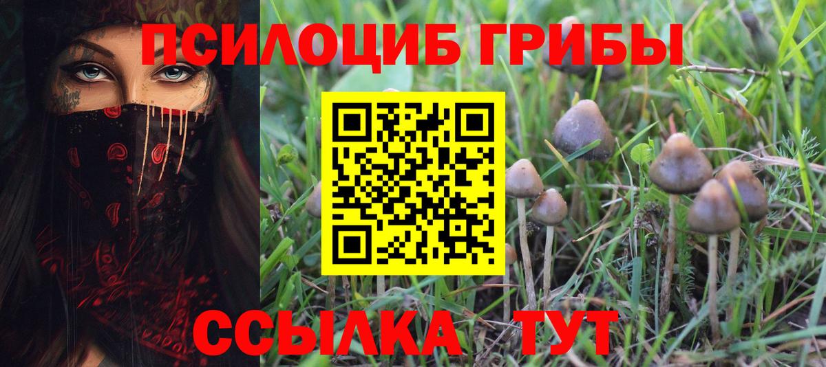 Галлюциногенные грибы Psilocybine cubensis  что такое наркотик  Азов  Псилоцибиновые грибы Magic Shrooms  Вход с VPN 